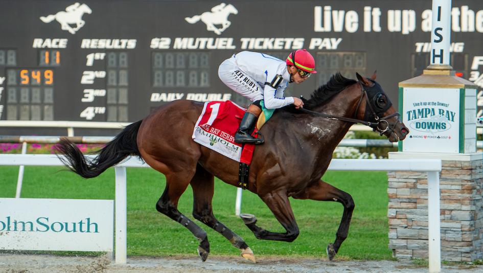 tampa bay racing results today