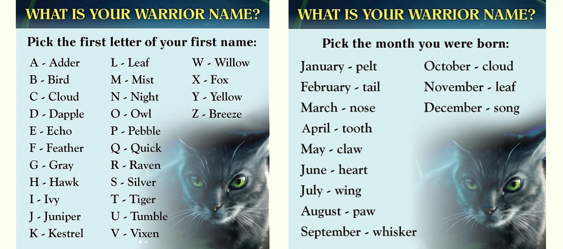 Simple Steps to Pick Names from 15000 Warrior Cat Names Collection