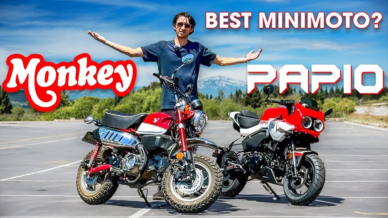 Where to get papio ss online? Top 3 sellers revealed and compared
