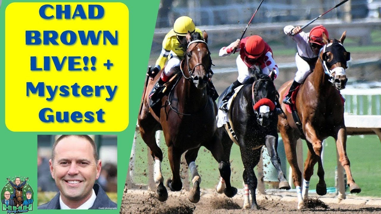 Secrets of Chad Brown Horse Training Revealed? Find The Truth Inside!