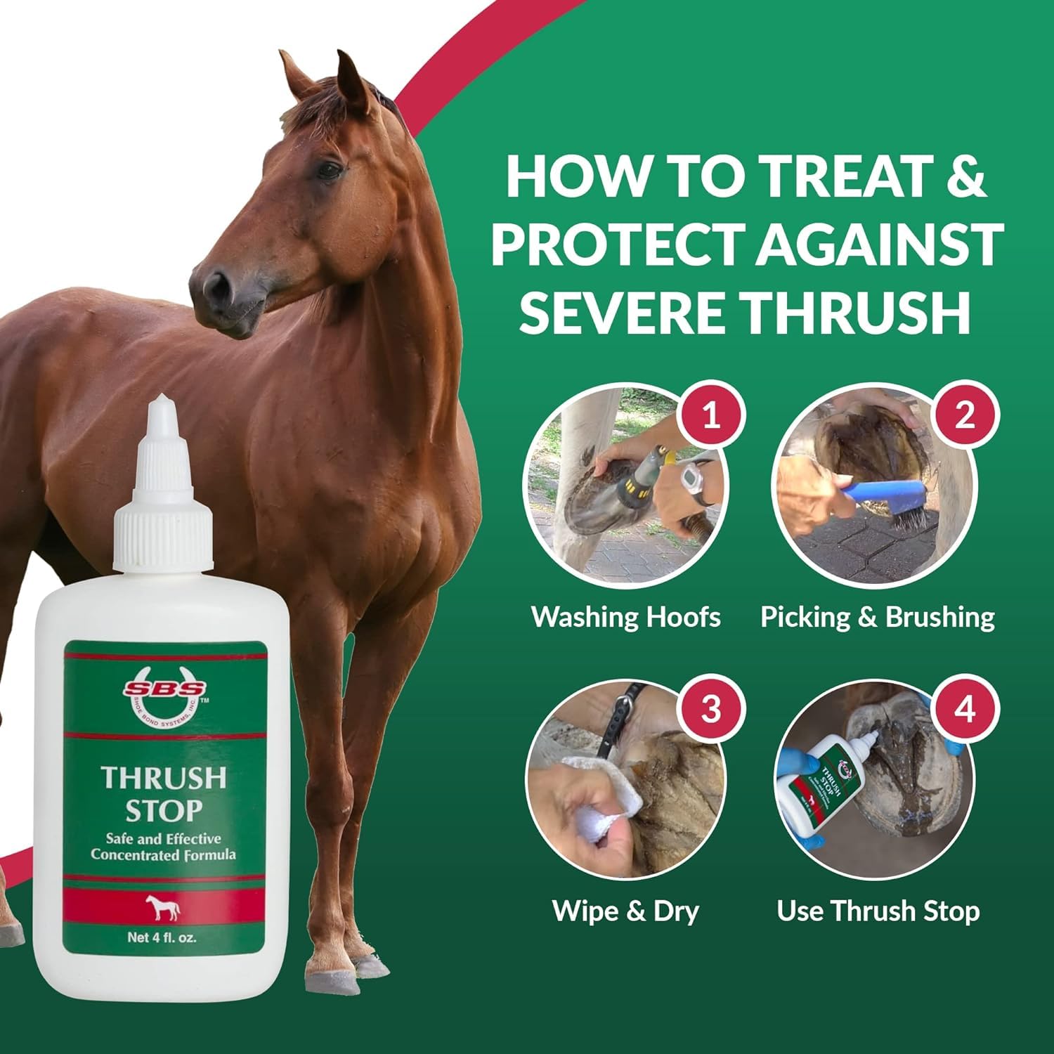 Horse Thrush Hoof Treatment Cost? Affordable Solutions to Save Money Now