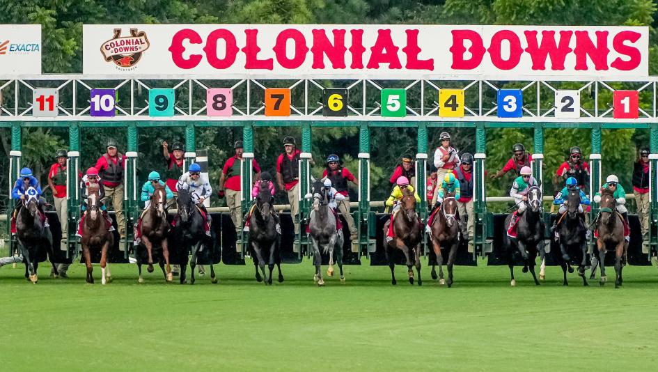 How to Win with Colonial Downs? Essential Site Tips & Features Guide!
