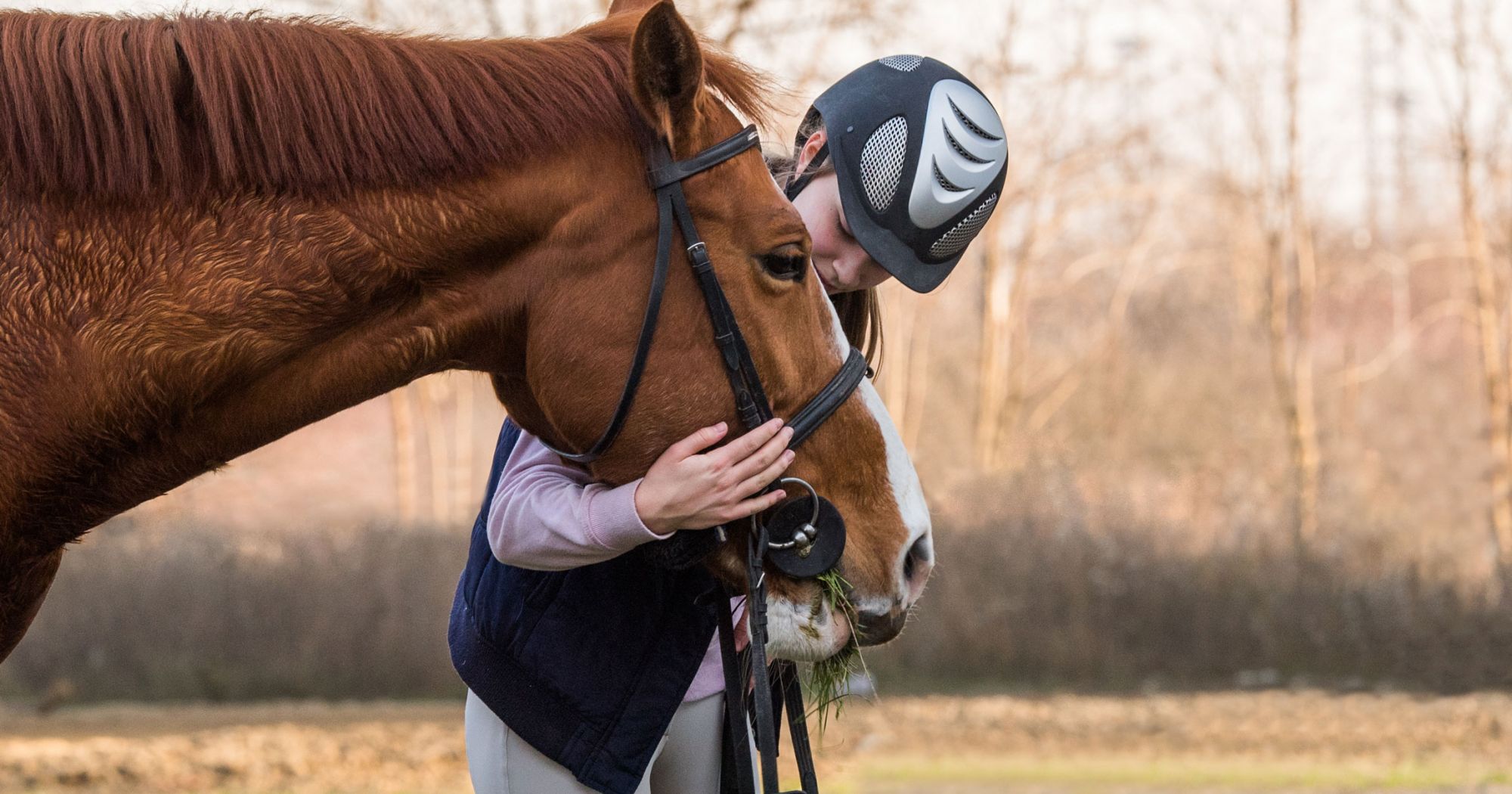 Steed Horse Training Secrets: 3 Easy Steps to Calm Your Horse Fast