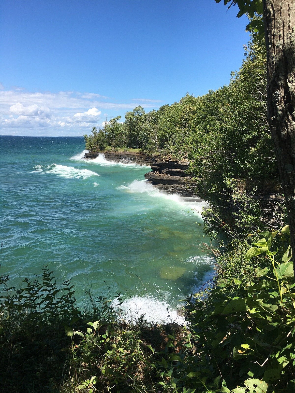Robert Wehle State Park NY Explore Hiking Trails and Waterfront Views