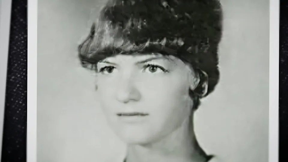 Who is Sigrid Stevenson? Learn Her Career Highlights Today