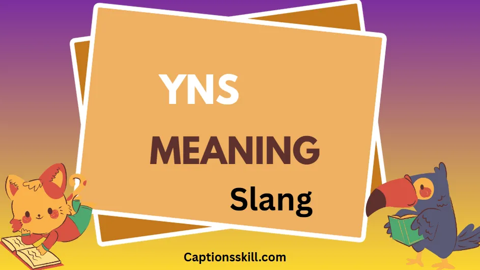 YNS Definition vs Other Terms: Key Differences Revealed