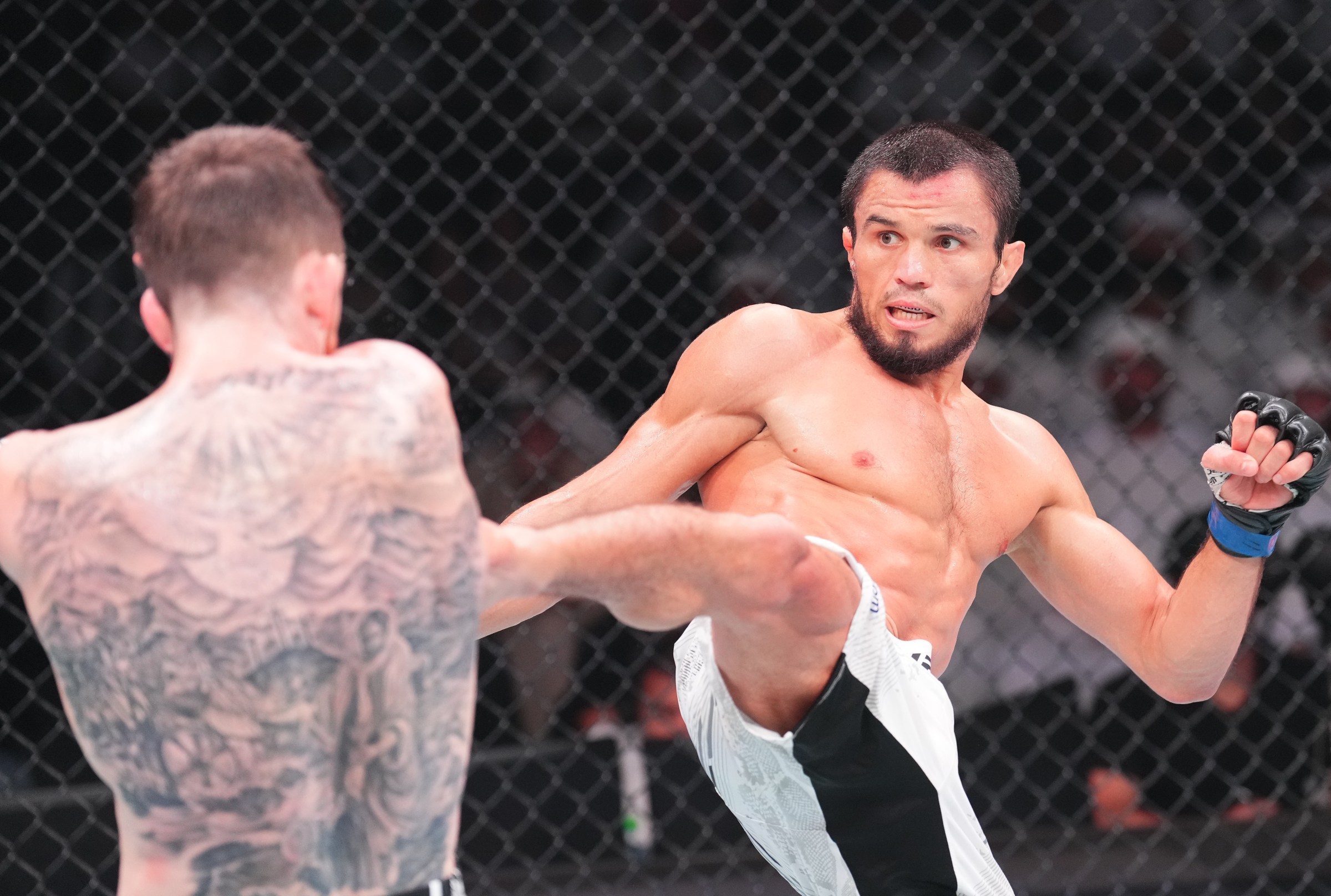 Watch Umar Nurmagomedov Last Fight Online Free Get The Full Video Link