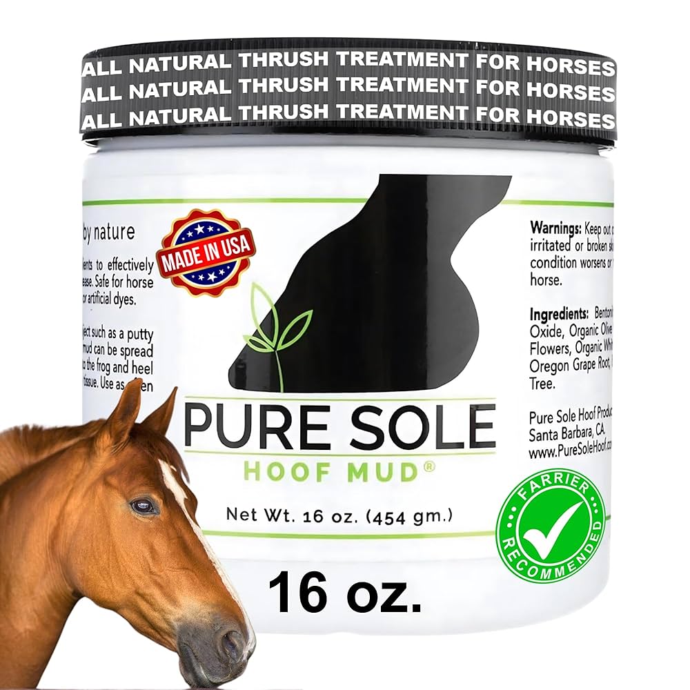 Horse Thrush Hoof Treatment Cost? Affordable Solutions to Save Money Now