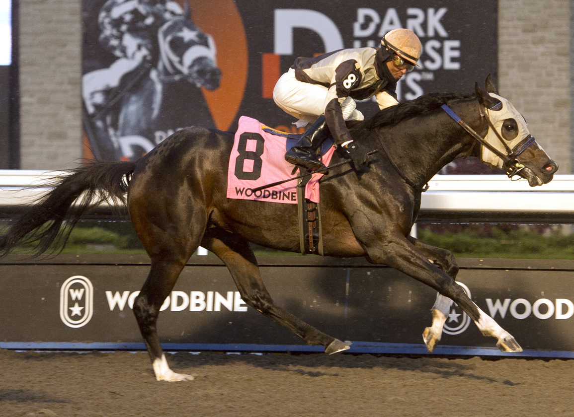 Woodbine live racing results today how to pick reliable sources for accuracy