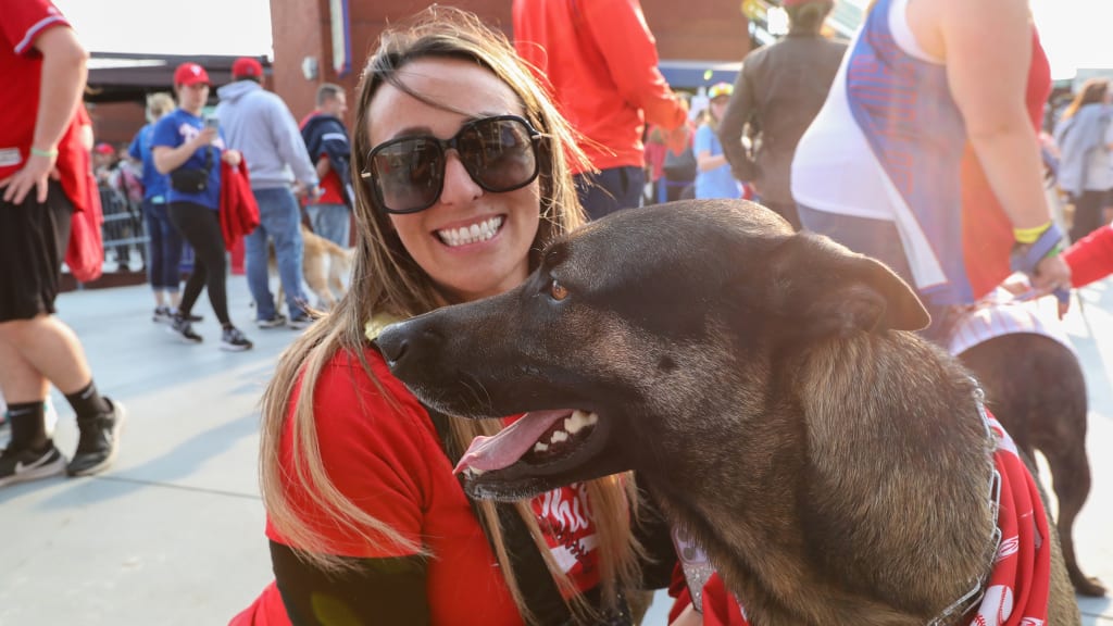 How to join Phillies Bark in the Park? (Simple guide for first-timers!)