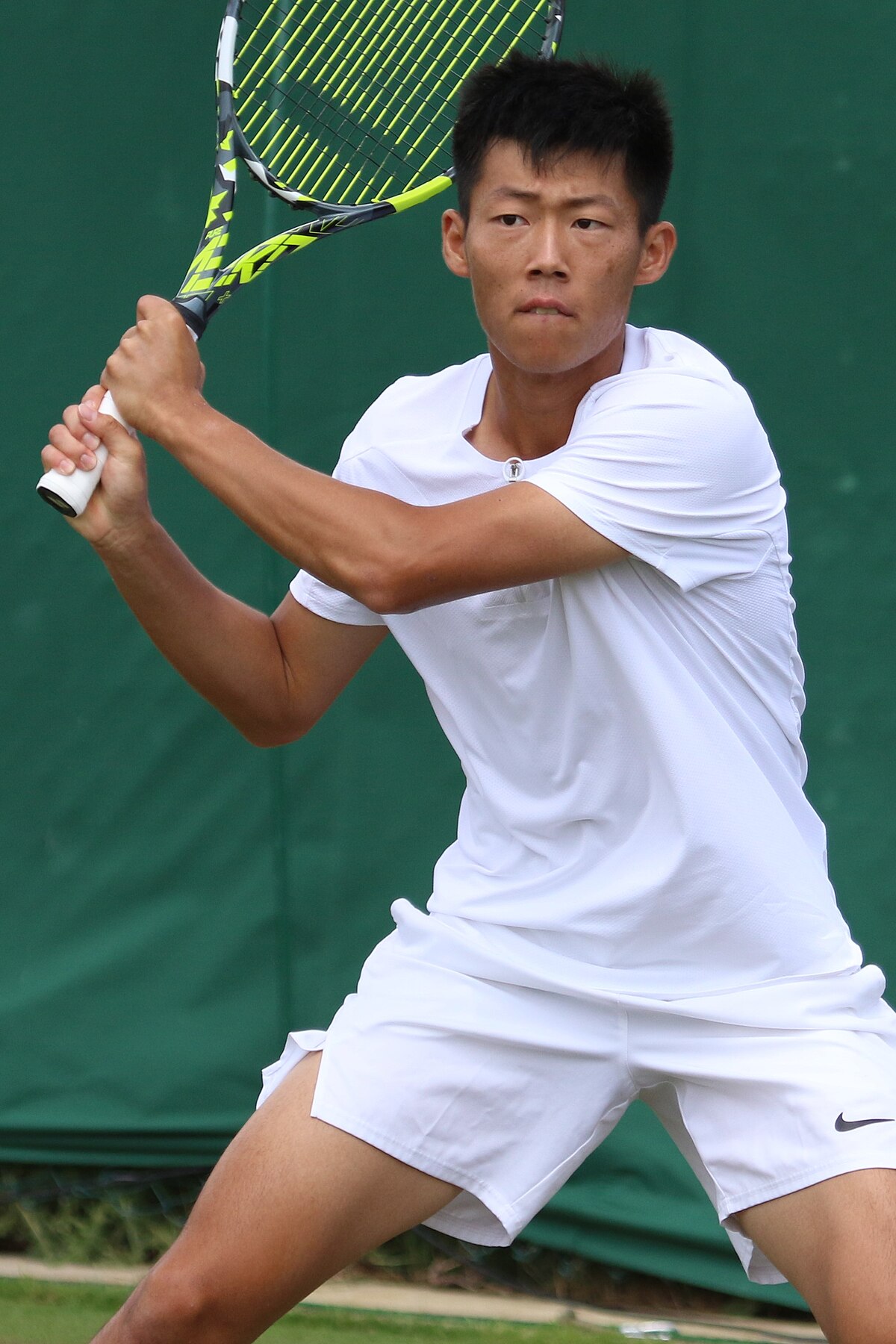 C H Tseng Explained Simply Find Out His Major Life and Career Details.