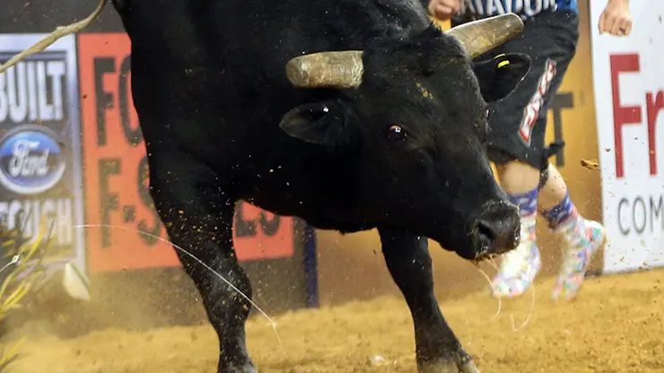 Where can you find Owen Bull news and content: Best sources!