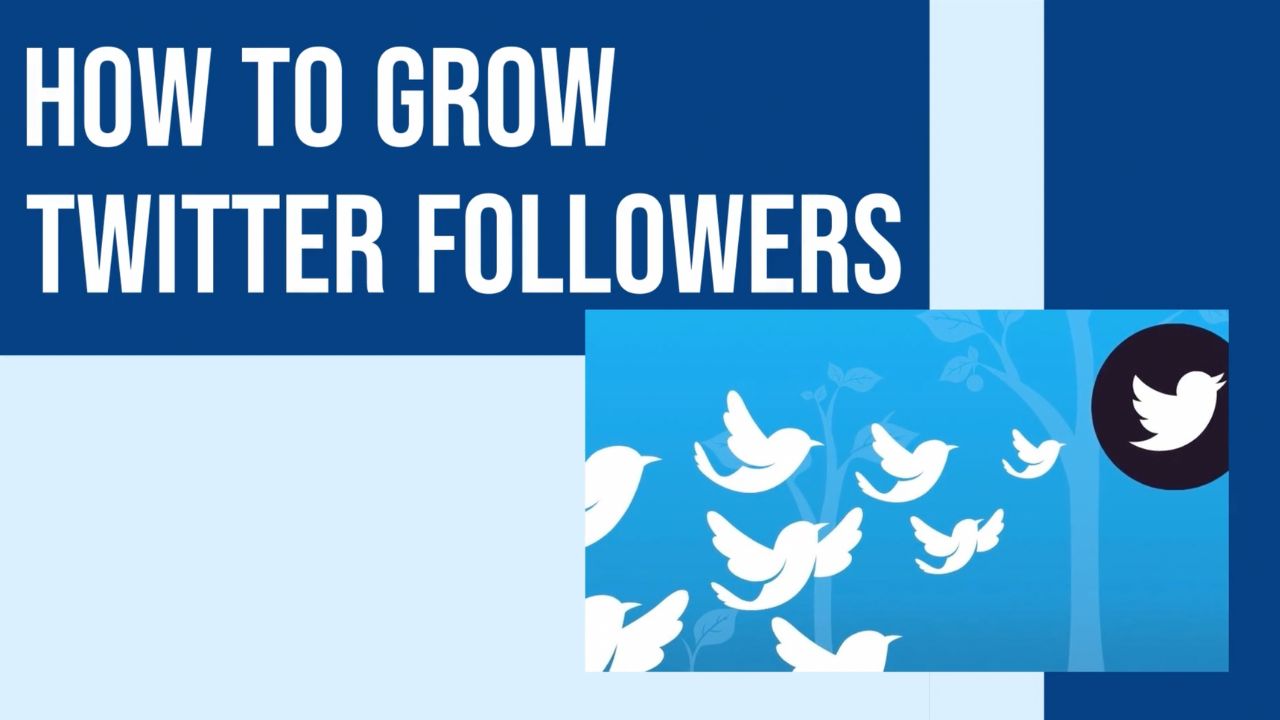 Best Ways to Grow Your Straight Bros Twitter Following Fast Simple Guide
