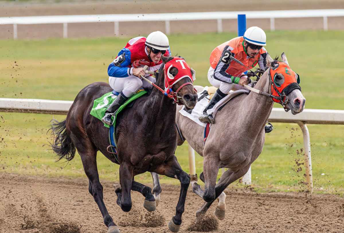 Remington Horse Track where to buy tickets (get fast entry with these simple steps)