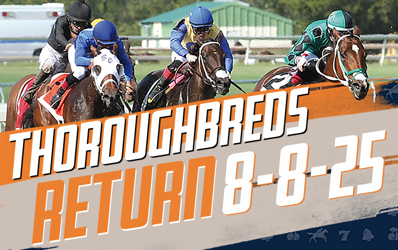 Remington Horse Track where to buy tickets (get fast entry with these simple steps)