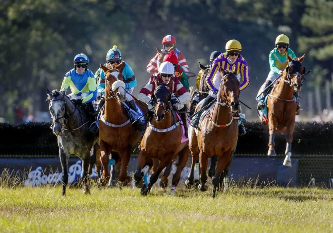 Charleston Cup Horse Race 2024 Dates? Plan Your Exciting Event Weekend Now!