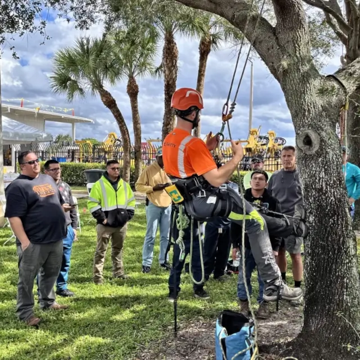 burning tree solutions which tools work best in emergencies