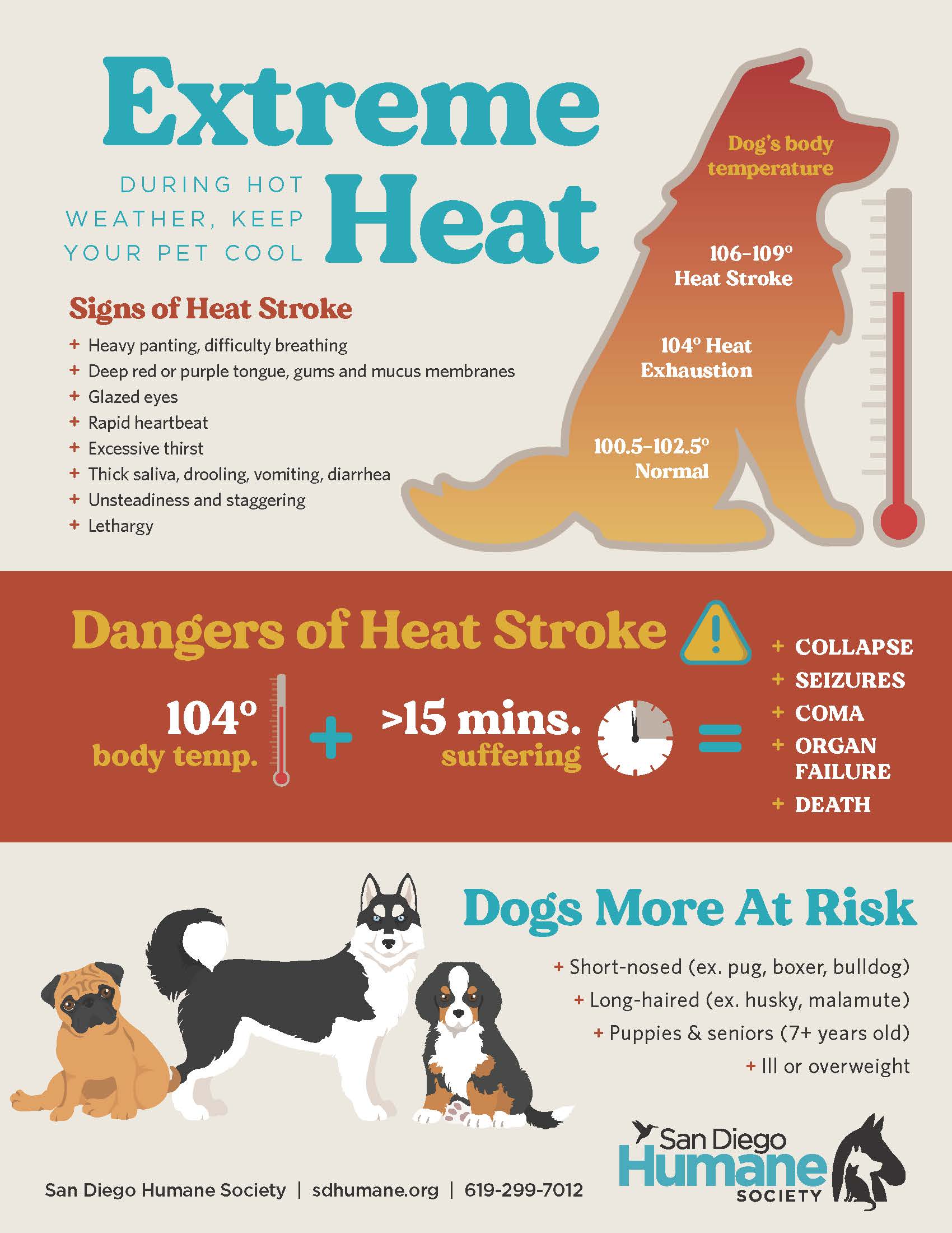Who to call for a dog left in heat? Report a suffering dog fast!