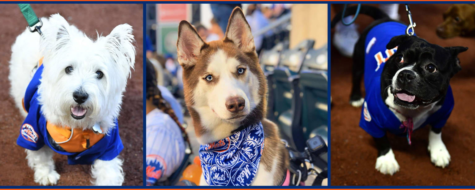 Mets Bark in the Park Best Date? Find This Years Schedule Here!