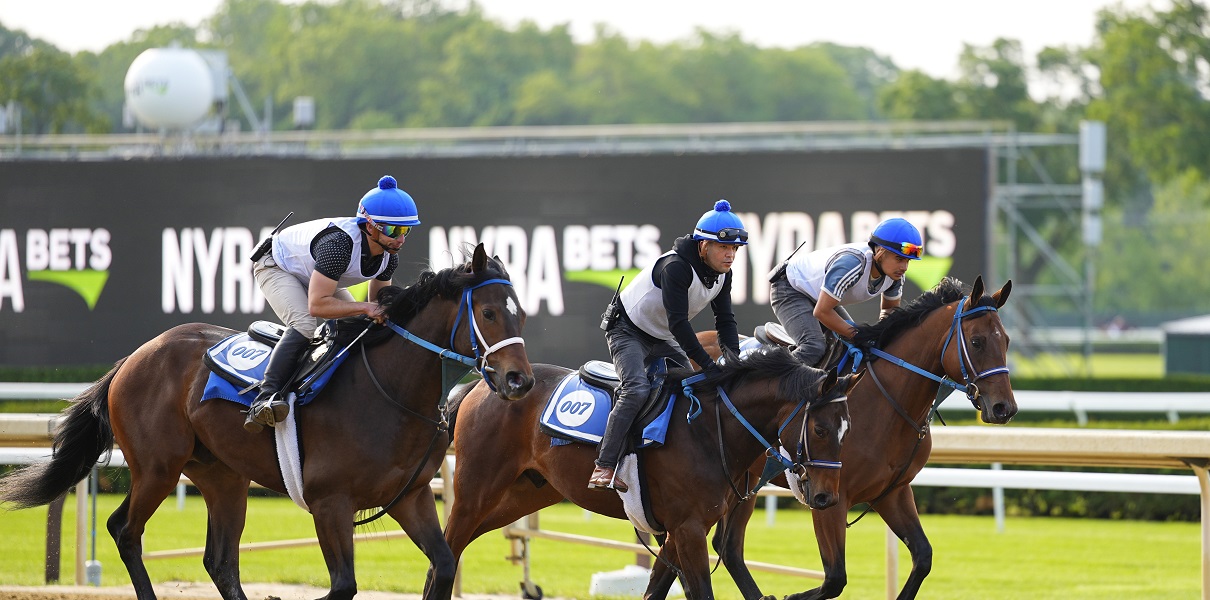 Post Time For Belmont How to Set It Quick and Avoid Mistakes