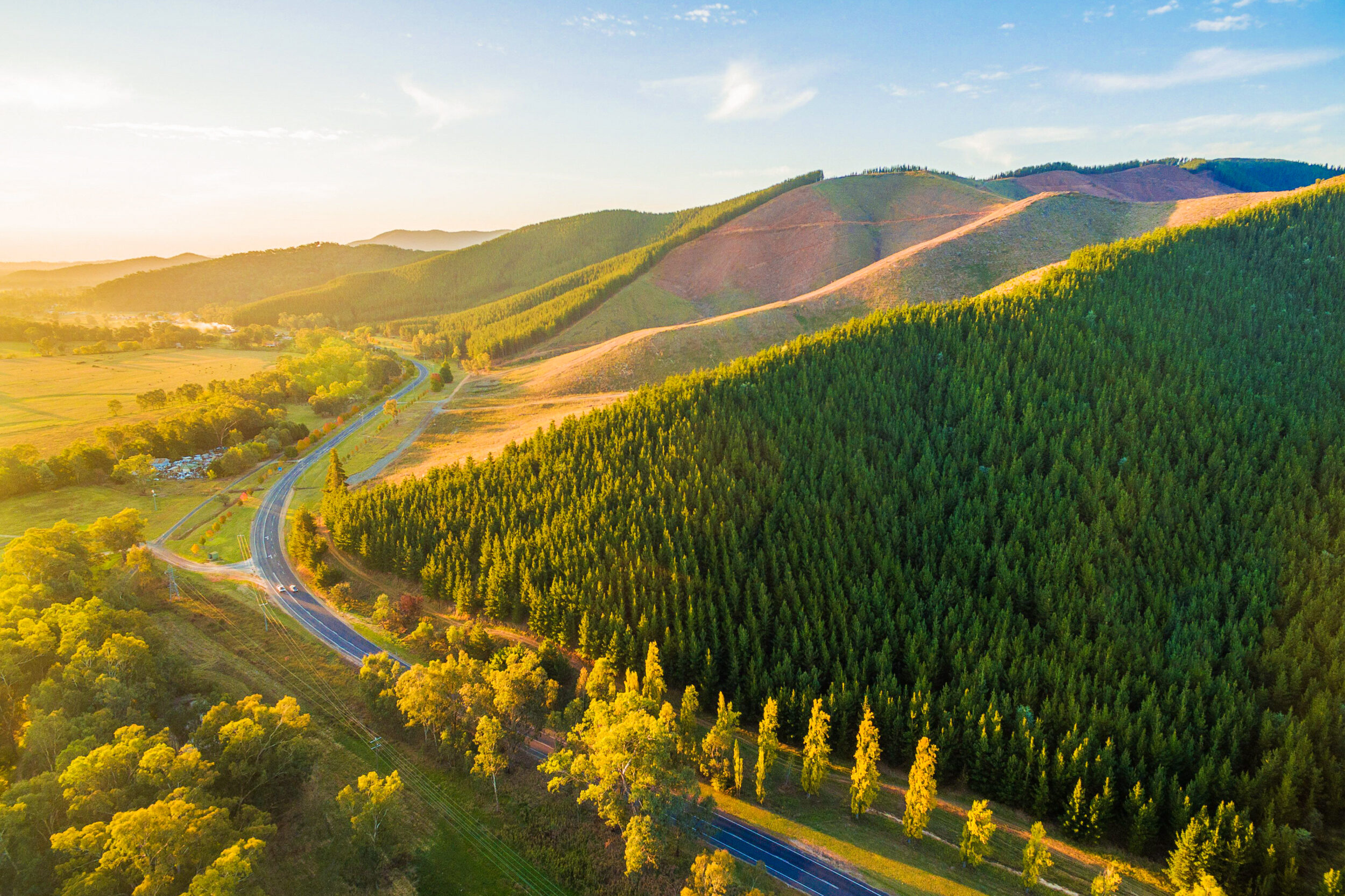 Alpine Drive Road Trip? Plan Your Perfect Mountain Adventure Today