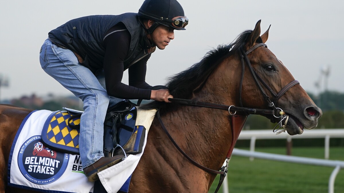 Get Secretariat Belmont Stakes Race Video Best Free Access Sites